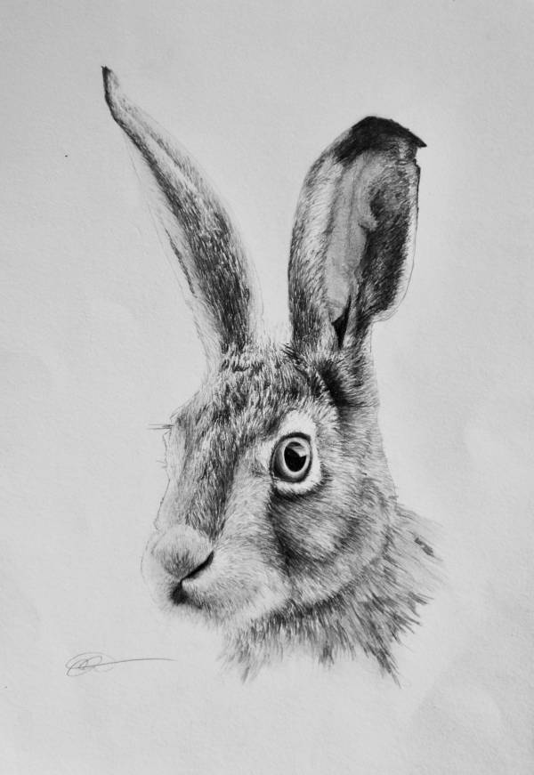- Paper on pencil, Painting by Carys Avery Welsh, measuring 25 x 16 cm (H x W) framed at 44 x 34 cm £245